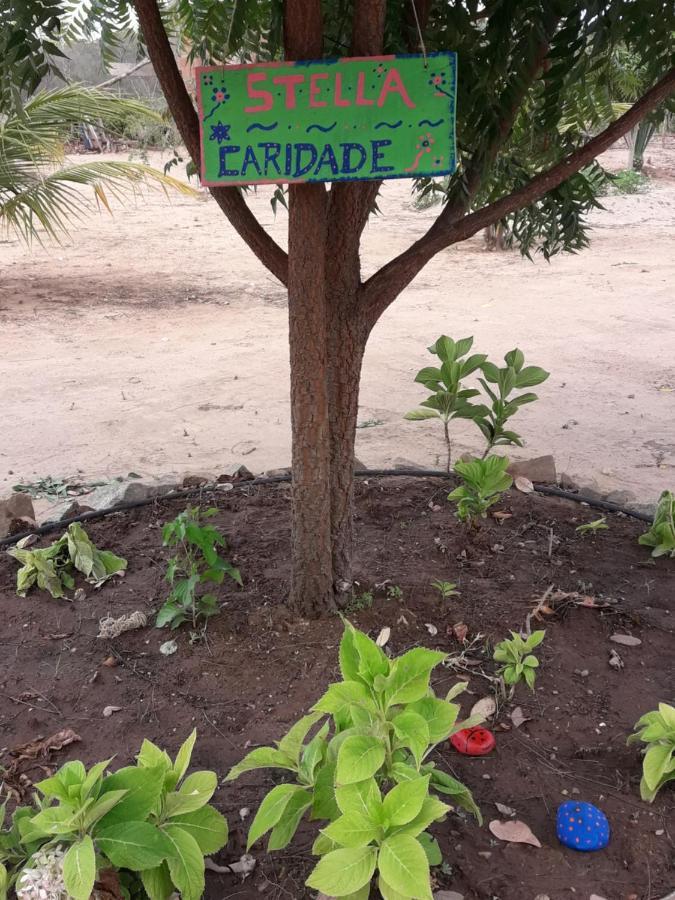 Chale Com Vista Privilegiada Pilões de Dentro Exteriör bild